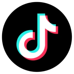 TikTok Logo